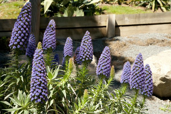 Créer une ambiance moderne et durable avec une ombrière de parking