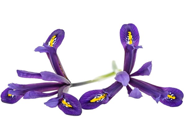 Votre guide complet pour choisir un volet roulant à narbonne