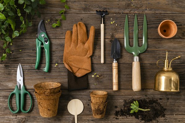 Le blog du jardinage et du bricolage: astuces pro